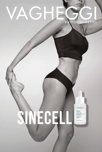 [CARTESINECEL24E] SINECELL POSTER 24